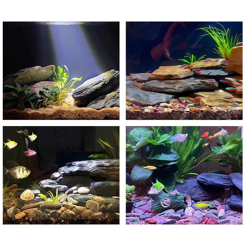 500/1000g Fish Tank Landscape  - Aquarium Marine Fish 评论和价格