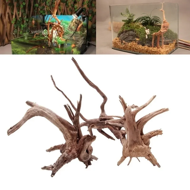 Natural Tree Trunk Driftwood A - Marine Aquarium All In One 评论和价格