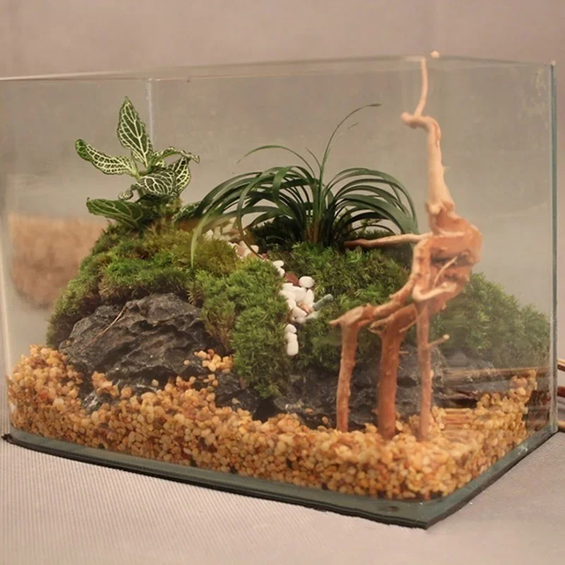 Natural Tree Trunk Driftwood A - Marine Aquarium All In One 评论和价格