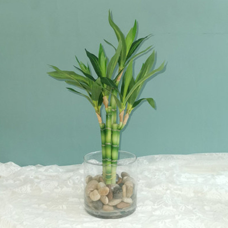 New 40cm rFtificial Lucky Bamb - Aquarium Marine Fish 评论和价格