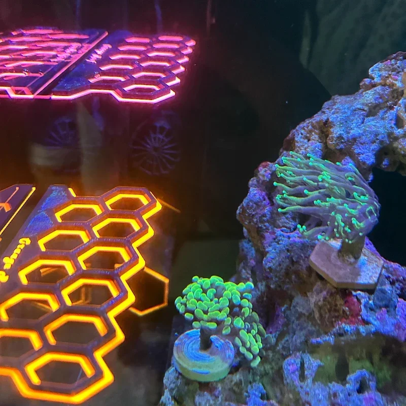 Aquarium Fluorescent Magnetic  - Coral Frag Plug 评论和价格