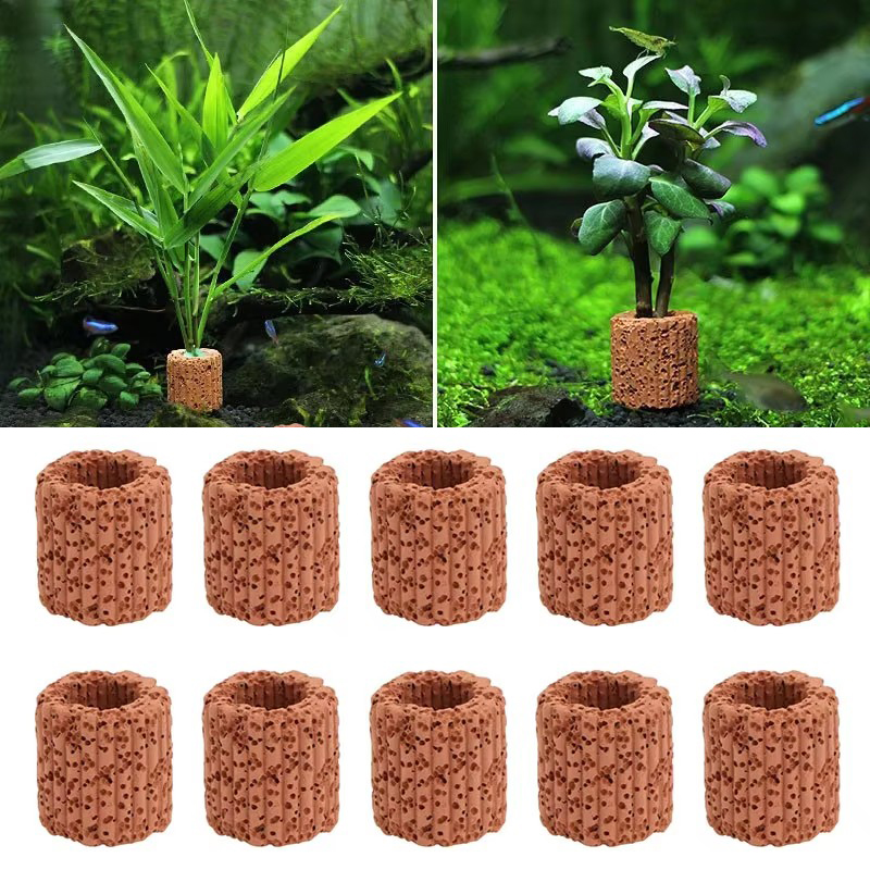 Aquatic Plant Fixed Ring for A - Marine Aquarium All In One 评论和价格