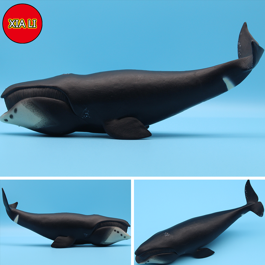 Ocean Sea Life Simulation Kill - Aquarium Marine Blue 评论和价格