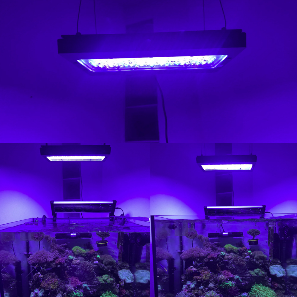 A8se Pro III MAX Blue 240W Mar - Aquarium Marine Blue 评论和价格