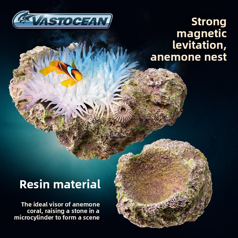 VASTOCEAN Magnetic Anemone Hol - Coral Frag Plug 评论和价格