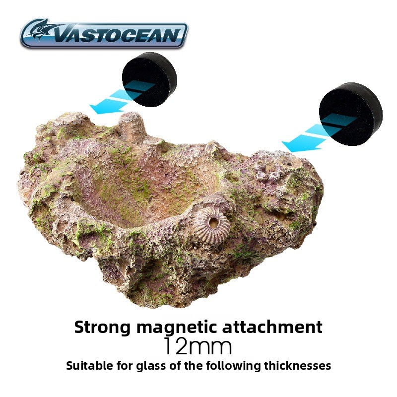VASTOCEAN Magnetic Anemone Hol - Coral Frag Plug 评论和价格