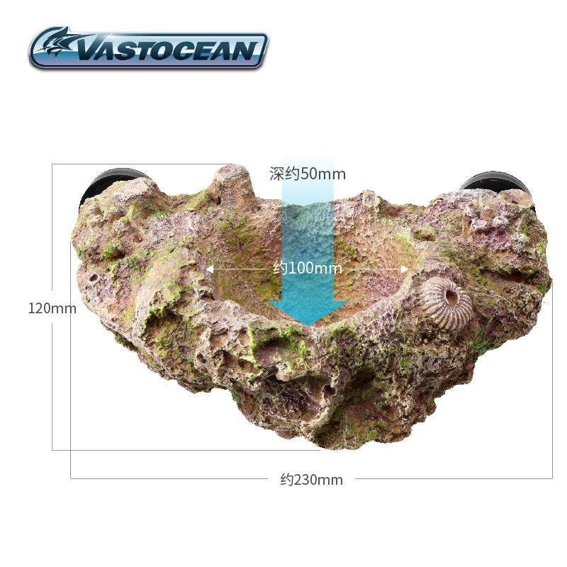 VASTOCEAN Magnetic Anemone Hol - Coral Frag Plug 评论和价格