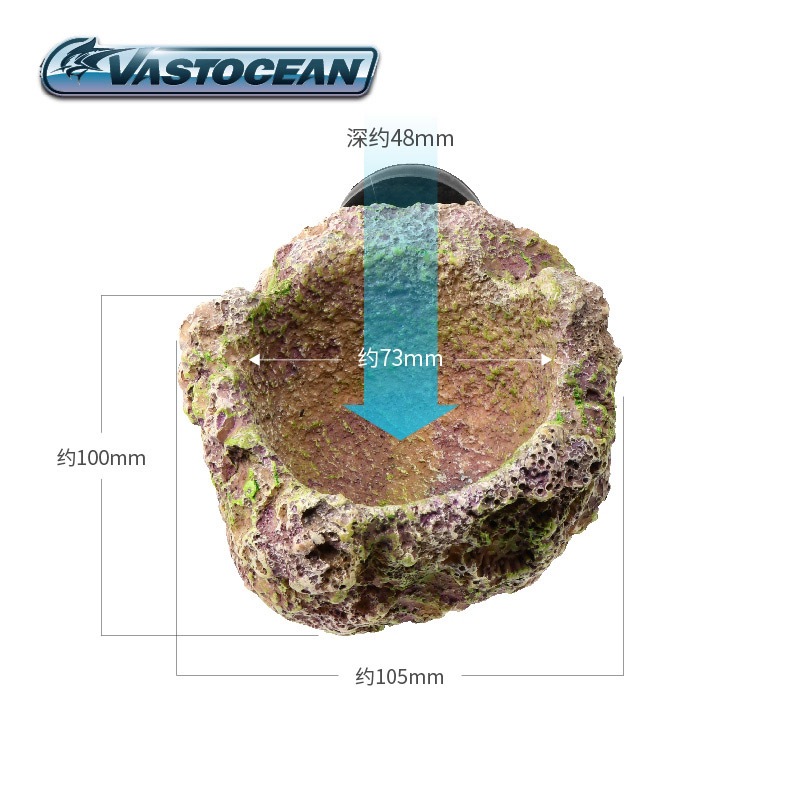 VASTOCEAN Magnetic Anemone Hol - Coral Frag Plug 评论和价格