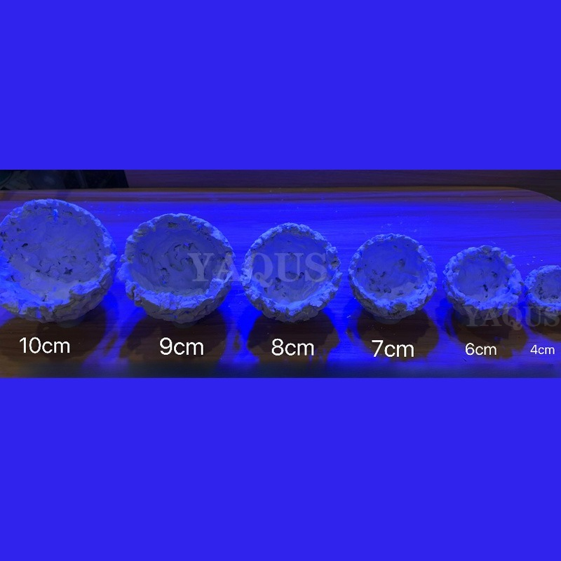 New DIY Handmade Floating Magn - Coral Frag Plug 评论和价格