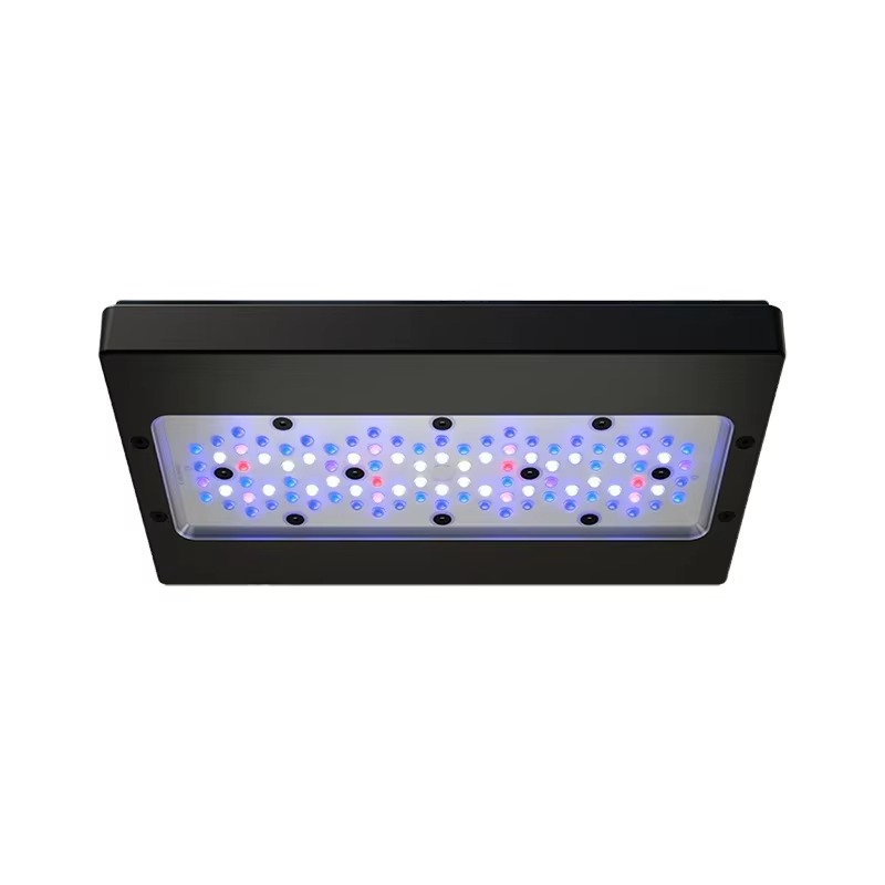 A8 Pro Blue 215W AC 110-240V W - Aquarium Marine Blue 评论和价格