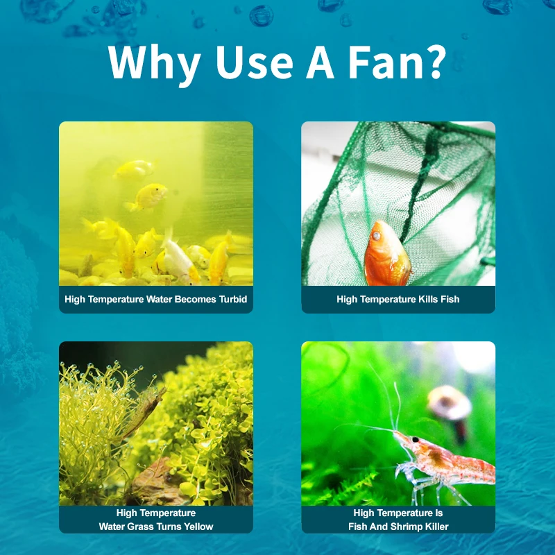 Jebao Jecod ACF Series Aquariu - Marine Aquarium Uk 评论和价格