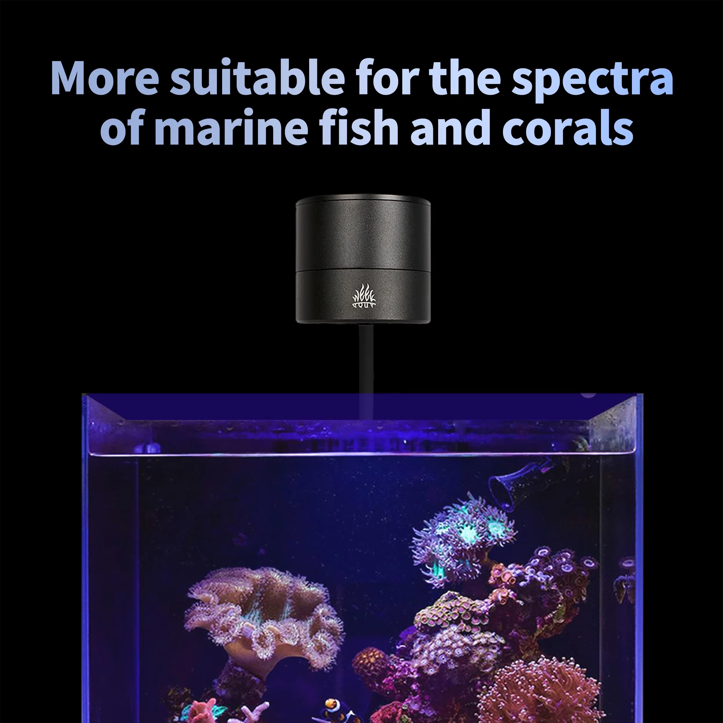 WEEK AQUA Aquarium Light Manuf - Aquarium Marine Blue 评论和价格