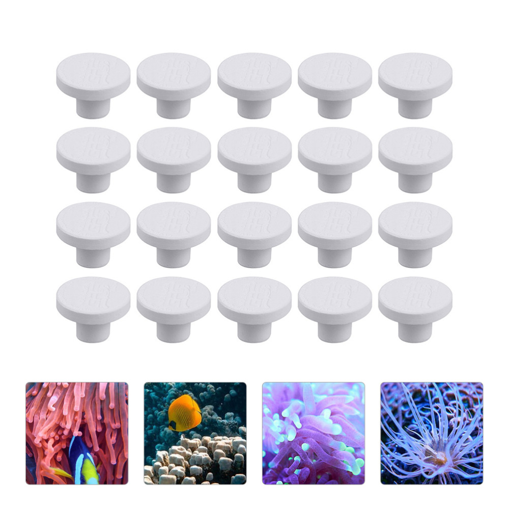 SPS Ceramic Coral Frag Plugs B - Coral Frag Plug 评论和价格