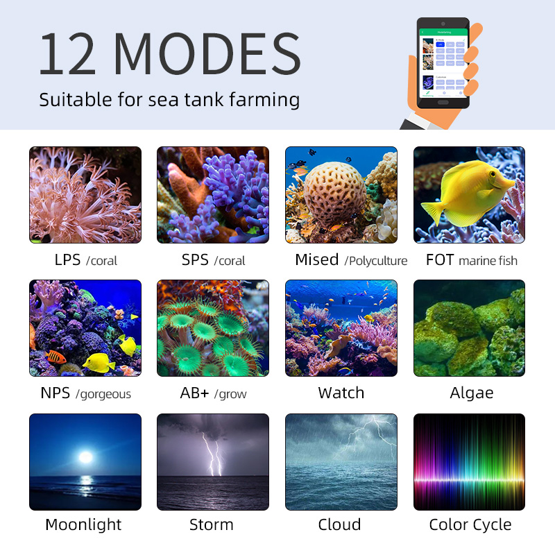ZXY Hot Sale WEEKAQUA Z250 Z40 - Aquarium Marine Blue 评论和价格