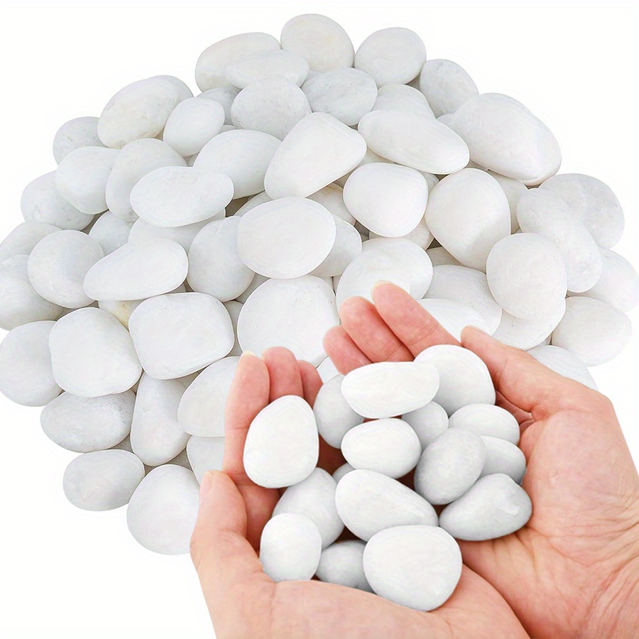 200/400g White High Polished N - Aquarium Marine Fish 评论和价格