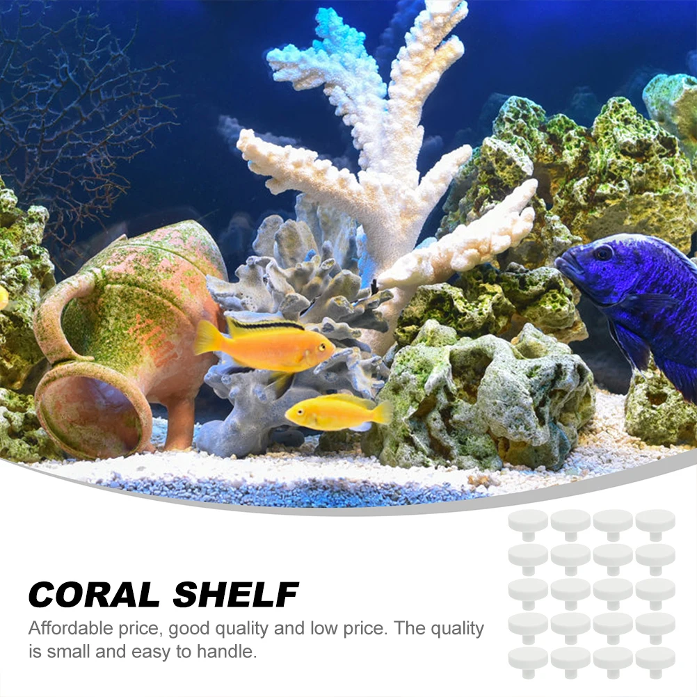 20Pcs Coral Glue Reef Safe Cor - Coral Frag Plug 评论和价格