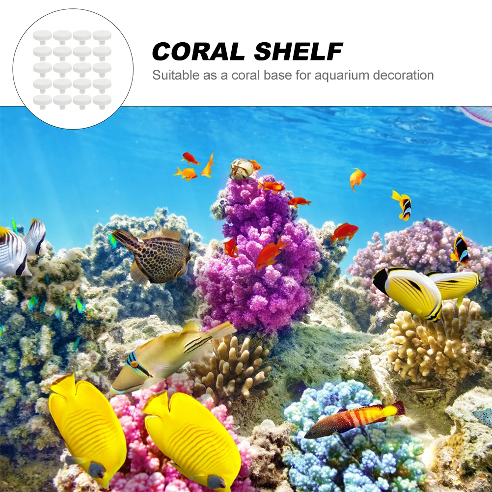 20Pcs Coral Glue Reef Safe Cor - Coral Frag Plug 评论和价格