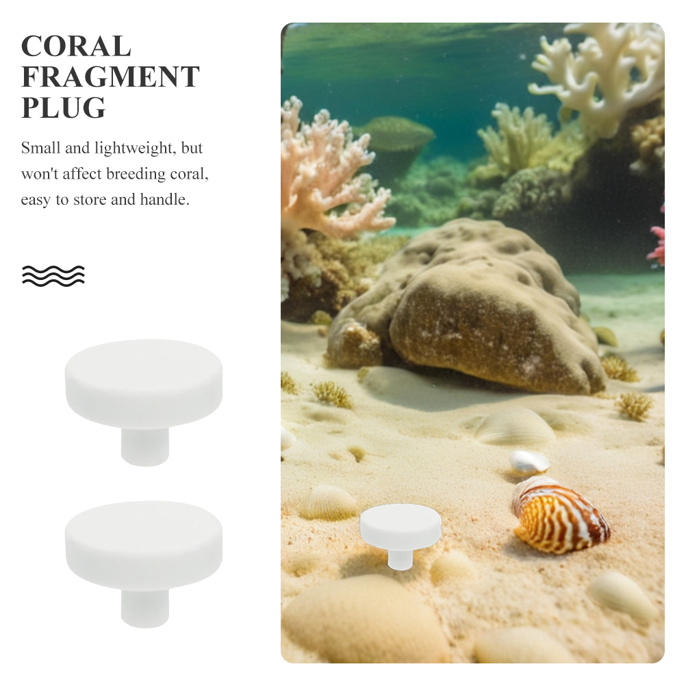 20Pcs Aquarium Coral Stand Cor - Coral Frag Plug 评论和价格