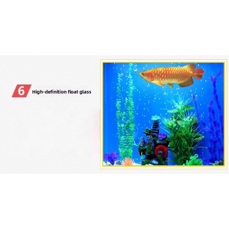 Marine Large 200 Gallon Fish A - Aquarium Marine Fish For Sale 评论和价格