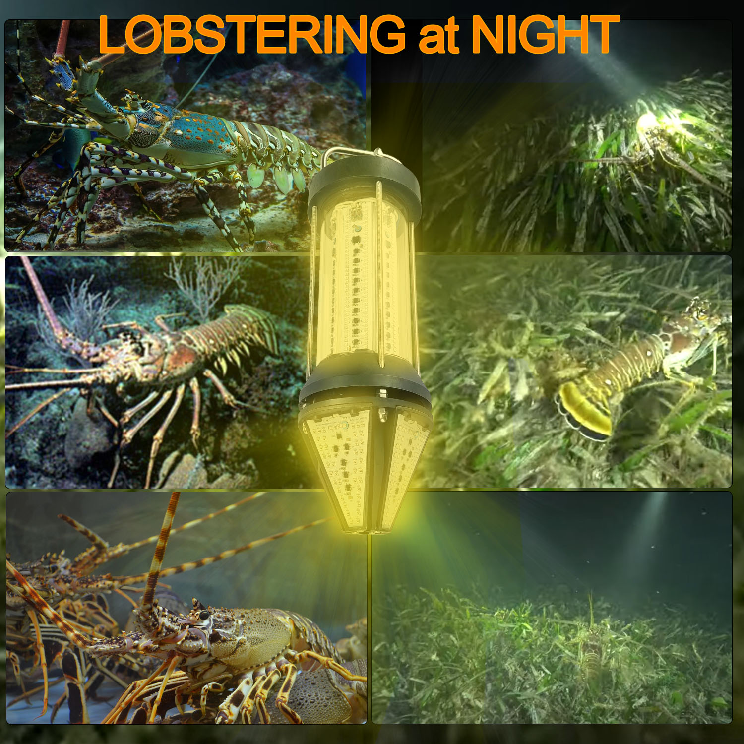 NS Green Blue White Yellow Out - Aquarium Marine Blue 评论和价格