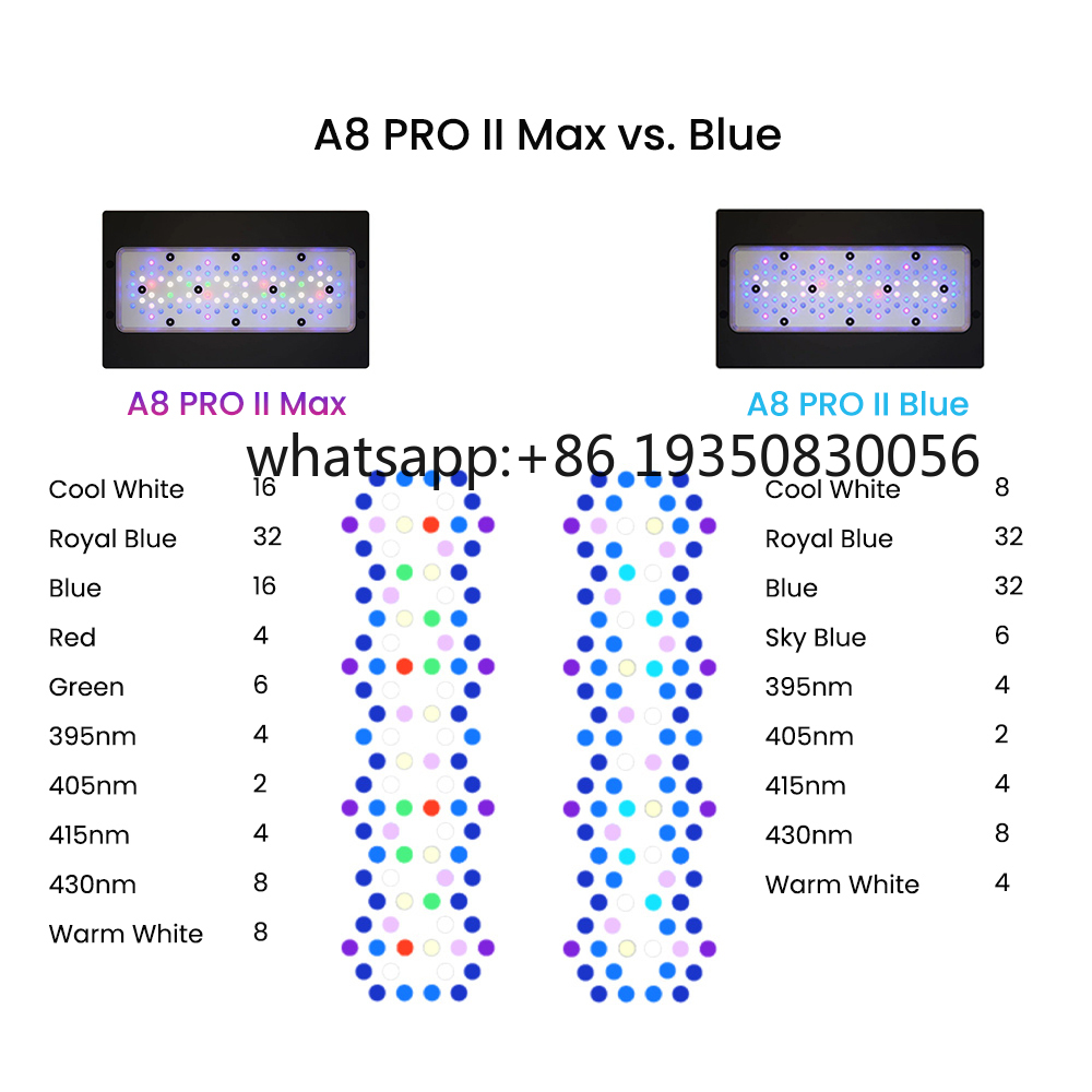 2026-A8 PRO II Max and Blue 24 - Aquarium Marine Fish 评论和价格