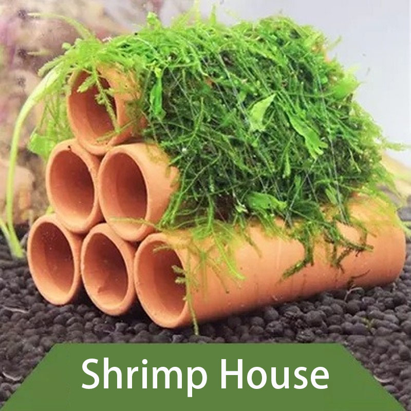 Clay Aquarium Decoration Fish  - Marine Aquarium All In One 评论和价格