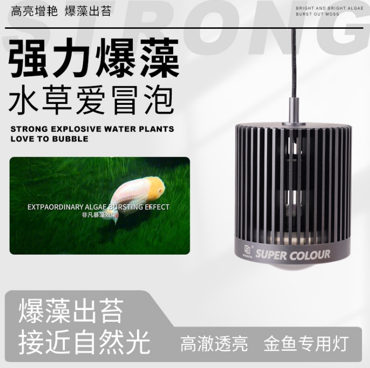 LED Super Color 3D Hot Sale Fi - Aquarium Marine Fish For Sale 评论和价格