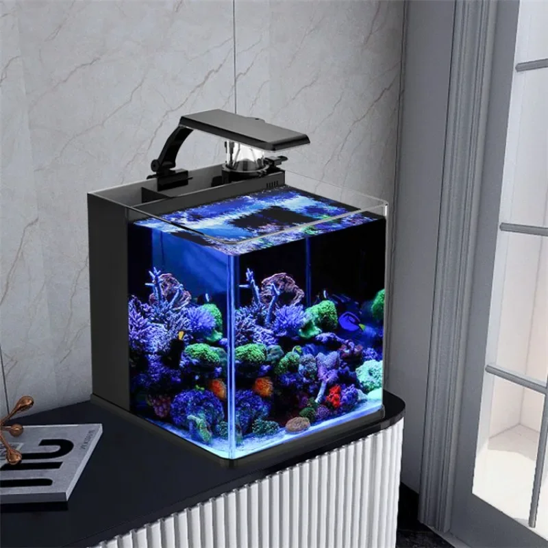 Hot sales Ultra Clear Glass Mi - Aquarium Marine Fish For Sale 评论和价格