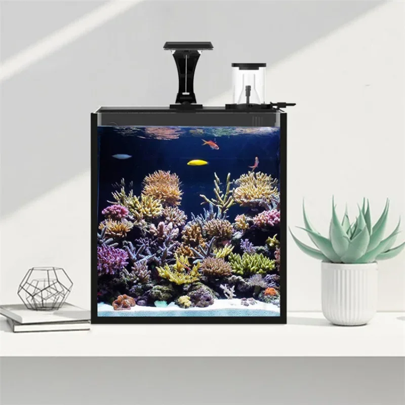 Hot sales Ultra Clear Glass Mi - Aquarium Marine Fish For Sale 评论和价格