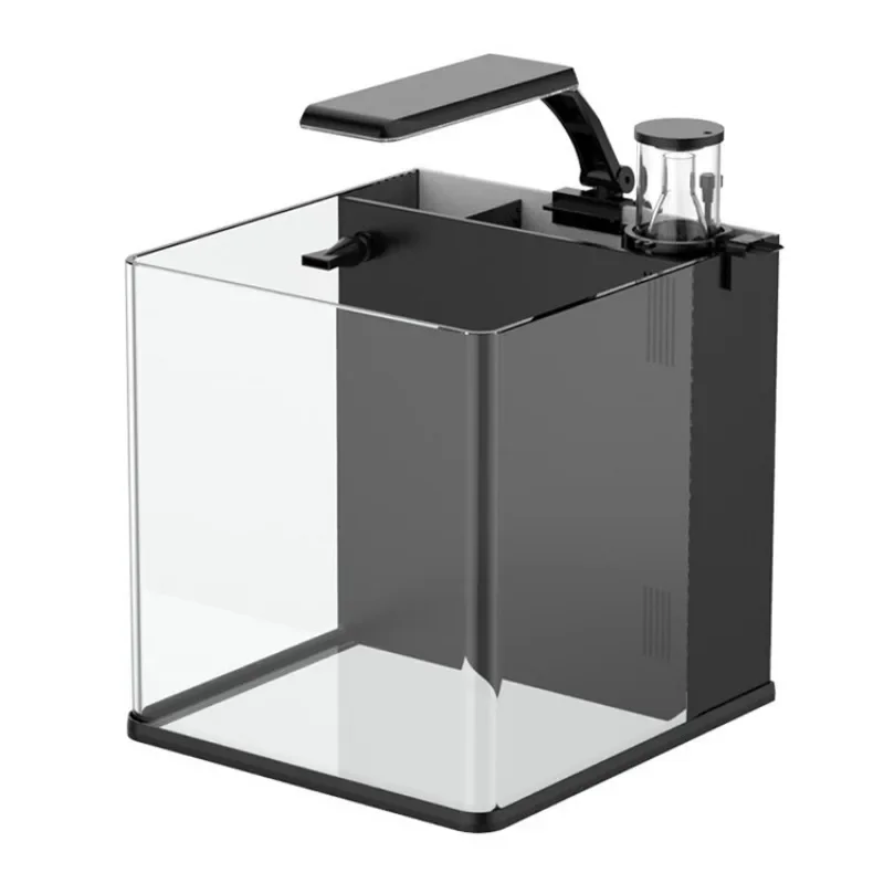 Hot sales Ultra Clear Glass Mi - Aquarium Marine Fish For Sale 评论和价格