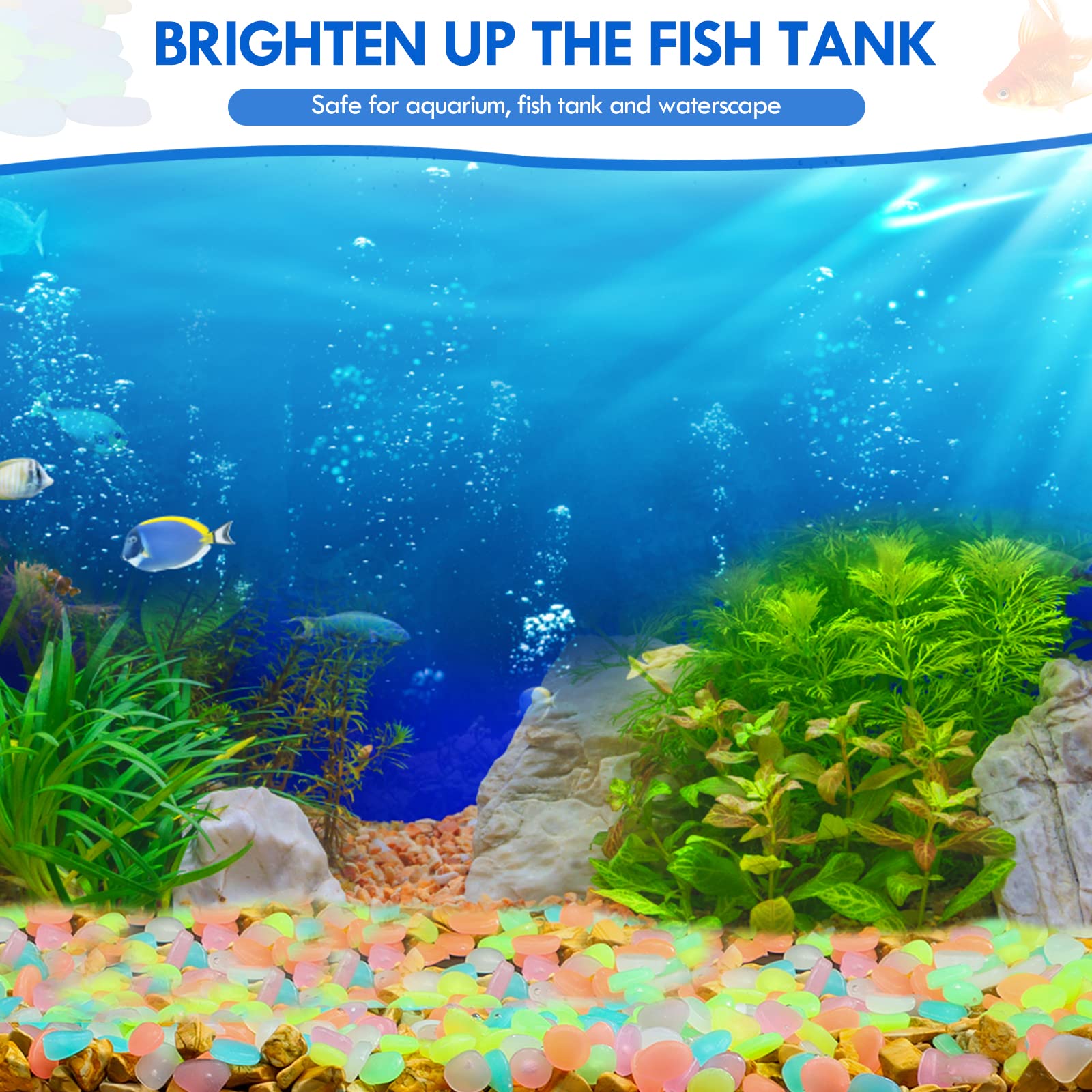 100Pcs Glow in the Dark Garden - Aquarium Marine Fish 评论和价格