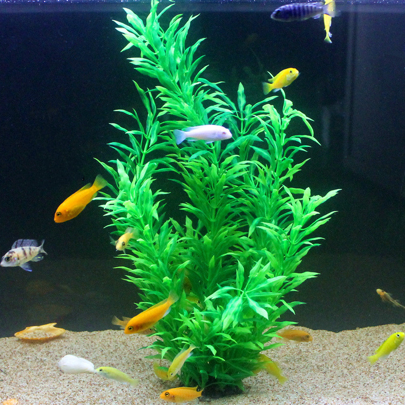 50CM Artificial Fish Tank Rare - Aquarium Marine Fish 评论和价格