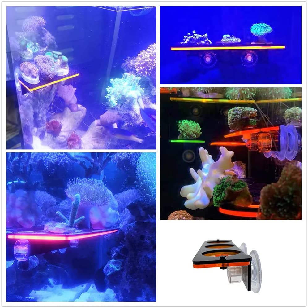 Fluorescent Coral Frag Plug Br - Marine Aquarium All In One 评论和价格