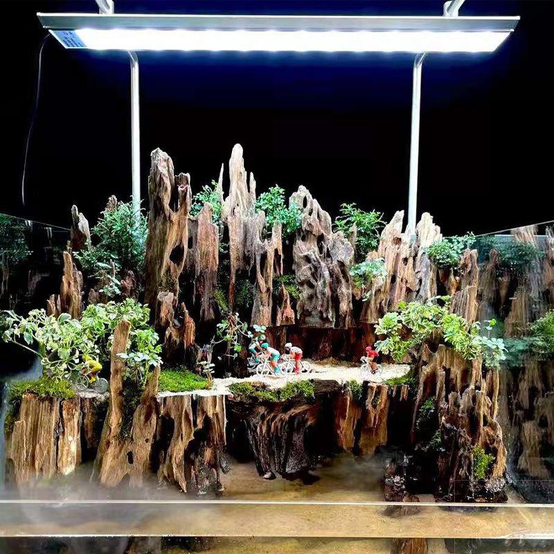 △ Shrimp Wood Aquarium Decor,  - Marine Aquarium All In One 评论和价格