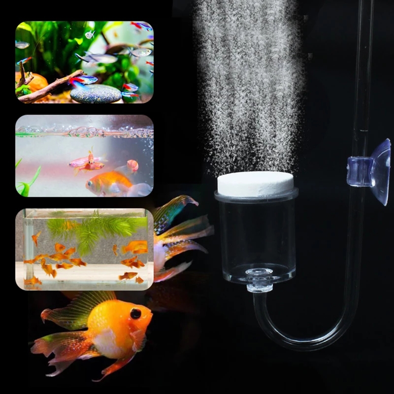 4pcs Set DIY CO2 Diffuser For  - Marine Aquarium Kit 评论和价格
