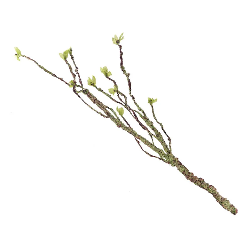 Vines Decor Climbing Branches  - Marine Aquarium All In One 评论和价格