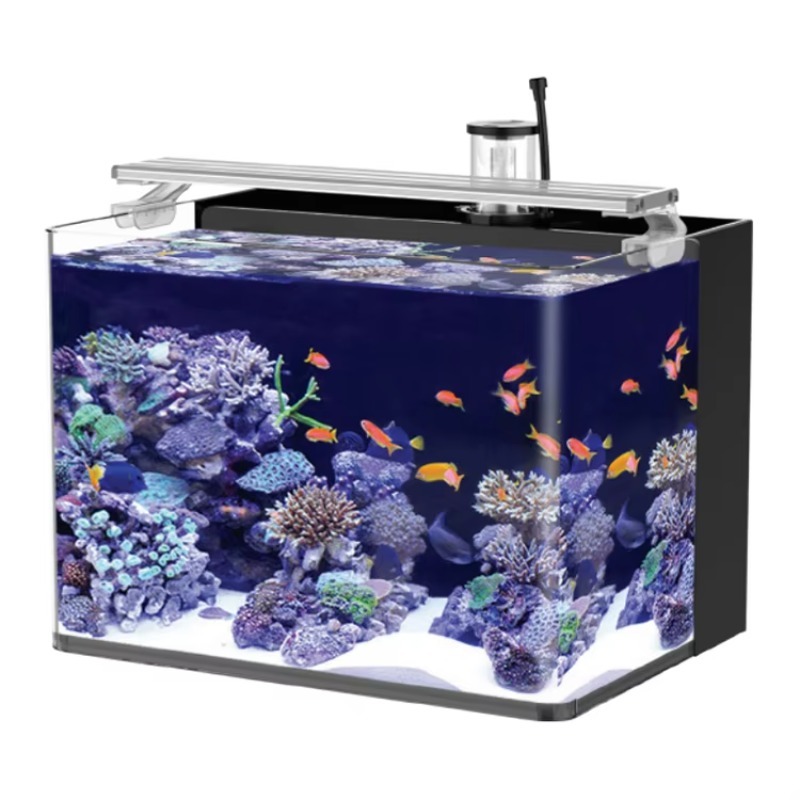Table Curved Saltwater Marine  - Marine Aquarium All In One 评论和价格