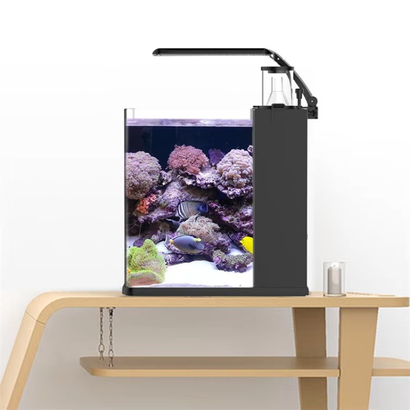 Table Curved Saltwater Marine  - Marine Aquarium All In One 评论和价格