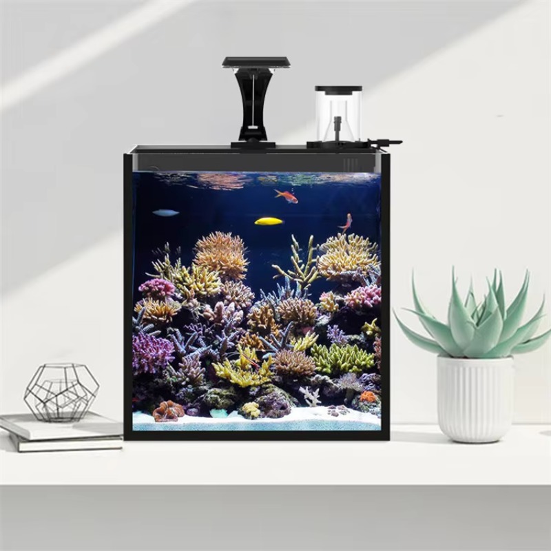 Table Curved Saltwater Marine  - Marine Aquarium All In One 评论和价格